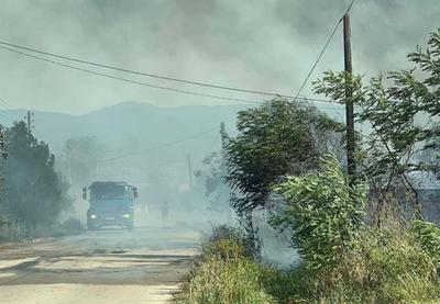 Image for Donacije pogođenima požarima