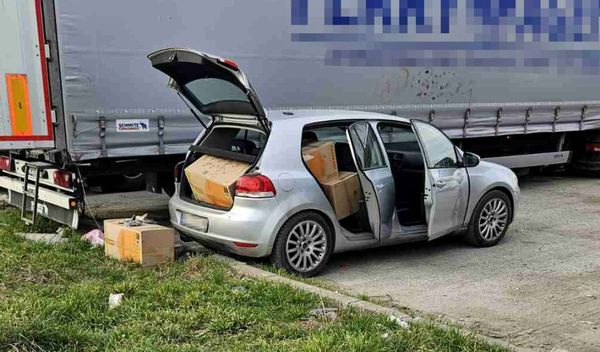 Image for Zaplenjena marihuana