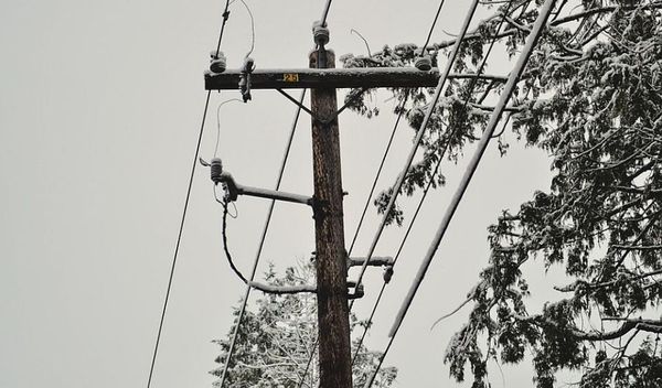 Image for Bez struje 0,35 odsto