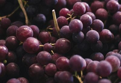 Image for Grožđe iz Italije puno opasnih hemikalija