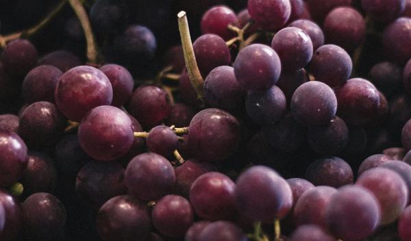 Image for Grožđe iz Italije puno opasnih hemikalija