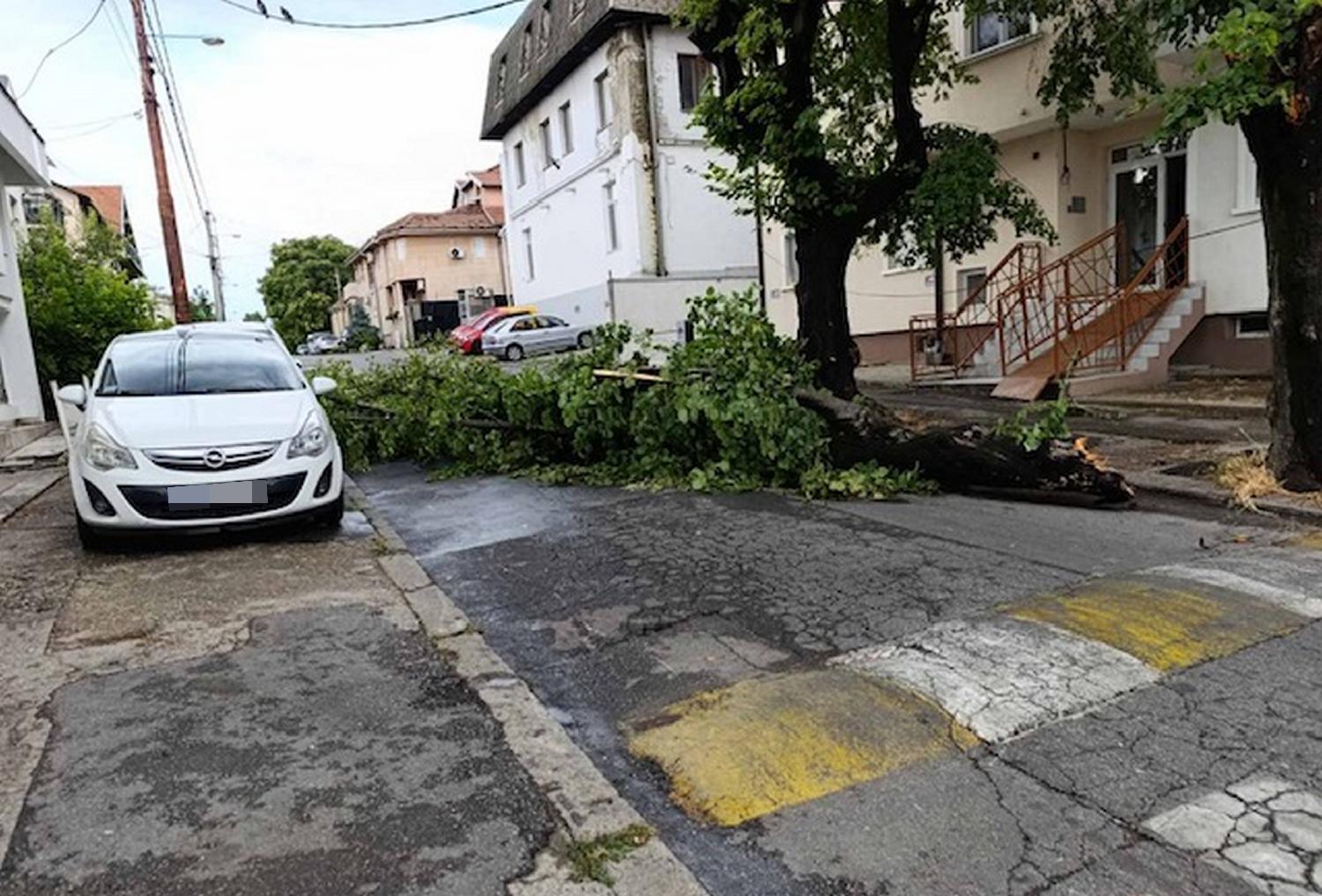 Image for Lakše povređeno pet osoba