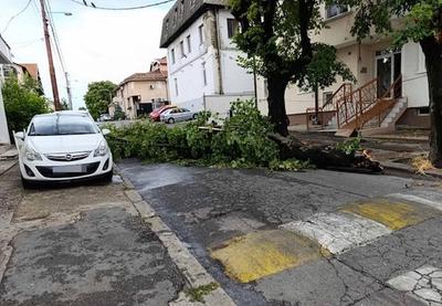 Image for Lakše povređeno pet osoba