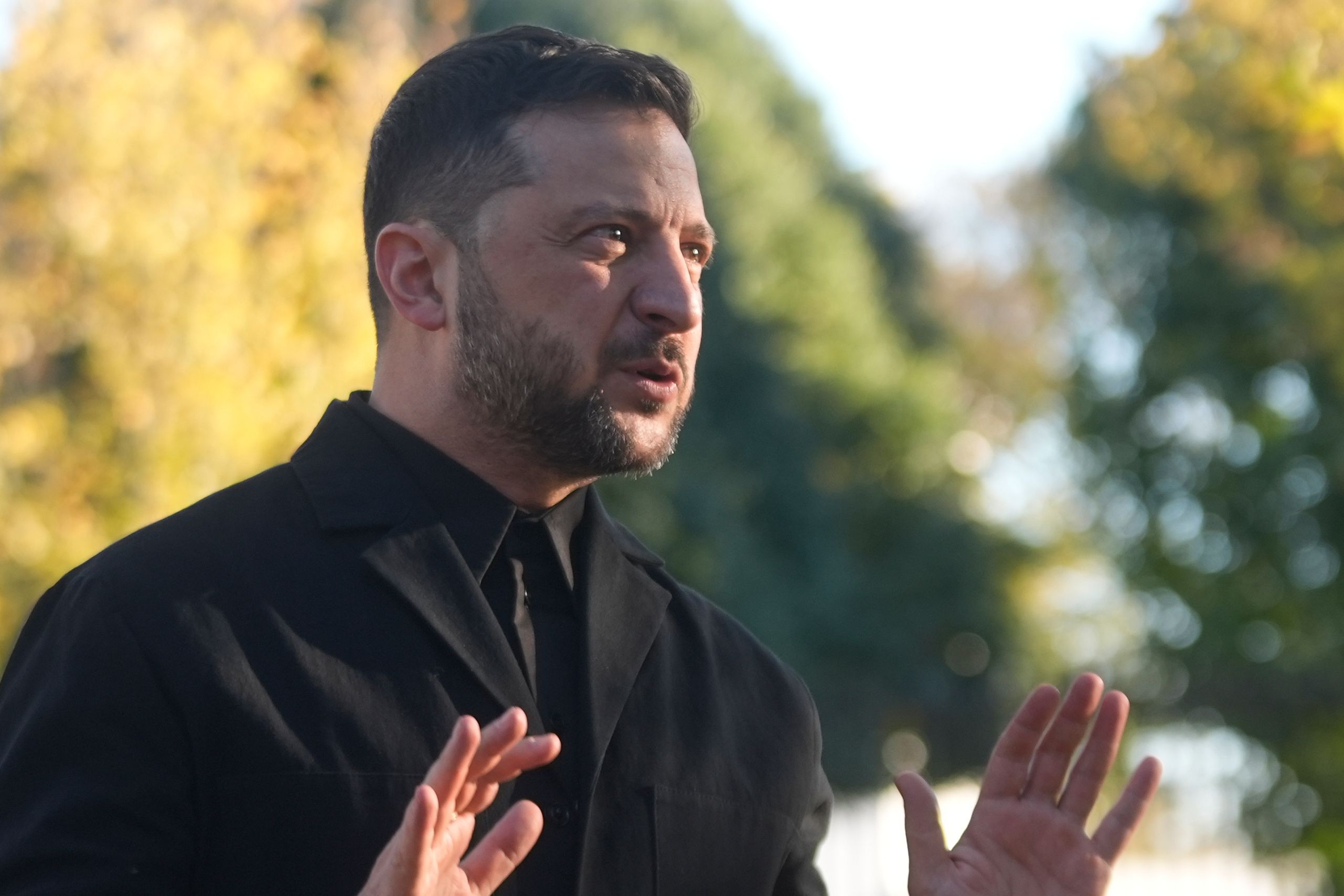 Image for Zelenski traži pomoć saveznika