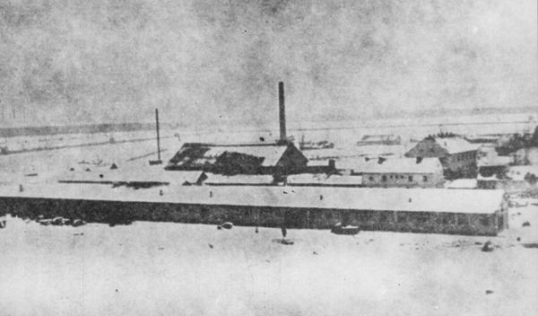 Image for Tragična sudbina dece u NDH