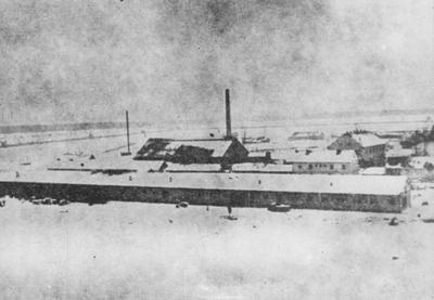 Image for Tragična sudbina dece u NDH