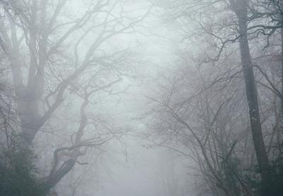 Image for Vremenska prognoza za četvrtak, 11. decembar: Magla na severu i zapadu, sunčano u ostalim krajevima