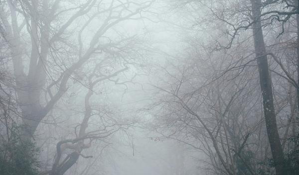 Image for Vremenska prognoza za četvrtak, 11. decembar: Magla na severu i zapadu, sunčano u ostalim krajevima