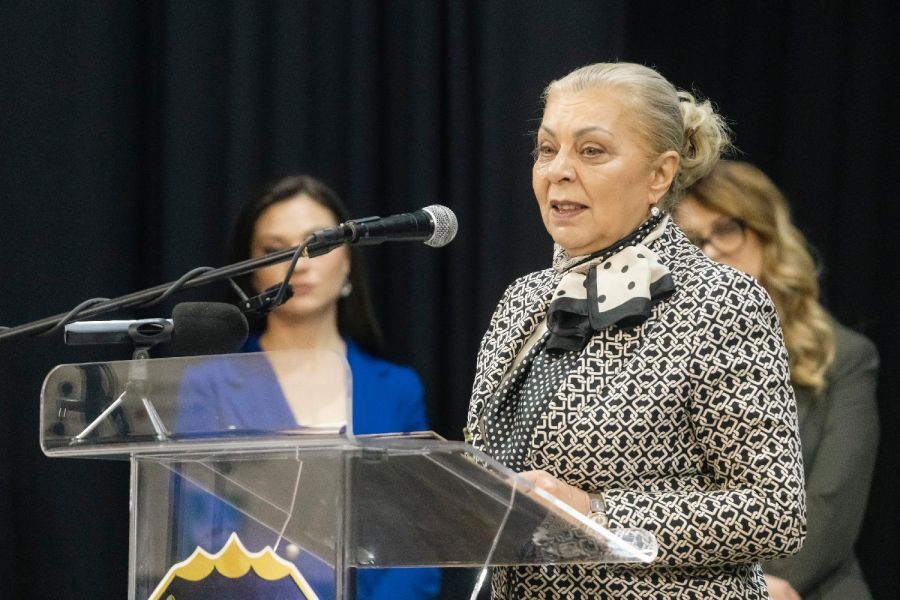 Image for Ministarka: Bezbedna deonica 