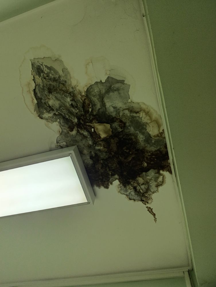 Image for Inspekcija da poseti bolnice