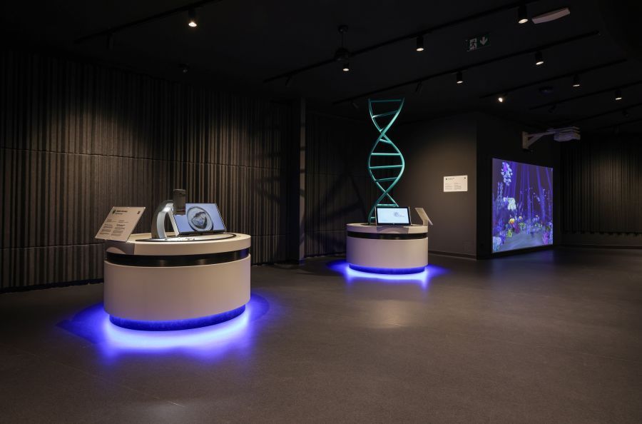 Image for Maj u Palati nauke