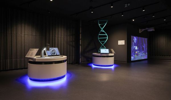 Image for Maj u Palati nauke