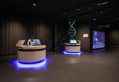 Image for Maj u Palati nauke