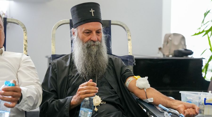 Image for Patrijarh dao krv