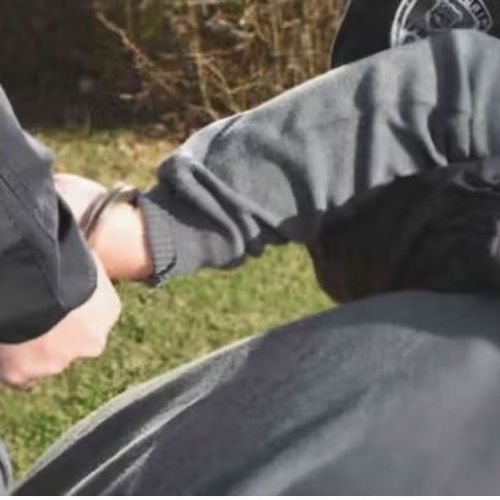 Image for Zabrinjava sve veći broj maloletnih prestupnika