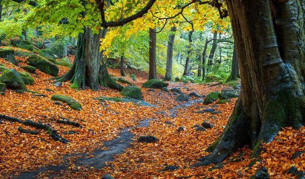 Srednja oktobarska temperatura imaće vrednosti u intervalu od 11 do 15 stepeni, a u planinskim predelima od 6 do 10 stepeni