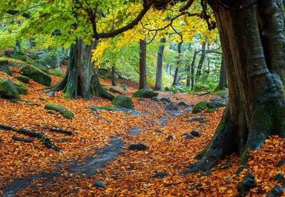 Srednja oktobarska temperatura imaće vrednosti u intervalu od 11 do 15 stepeni, a u planinskim predelima od 6 do 10 stepeni