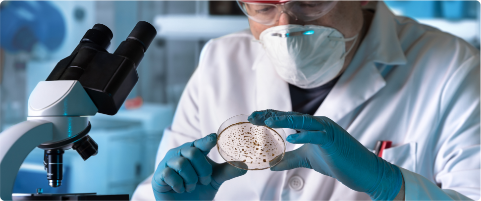 Image for Ahilova peta najopasnijih bakterija?