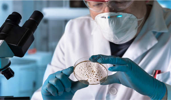 Image for Ahilova peta najopasnijih bakterija?