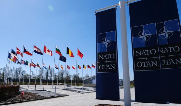 Image for Nova pravila rizika: NATO i Rusija u sivoj zoni