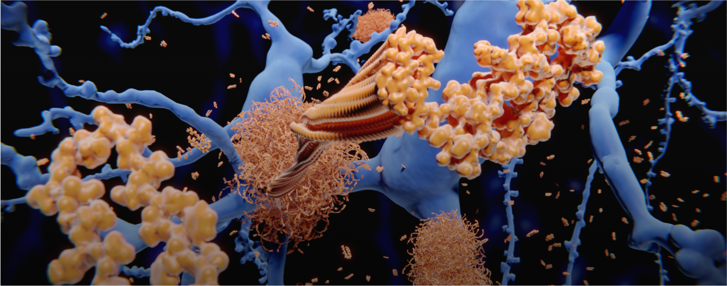 Image for Kada mozak ne stari?