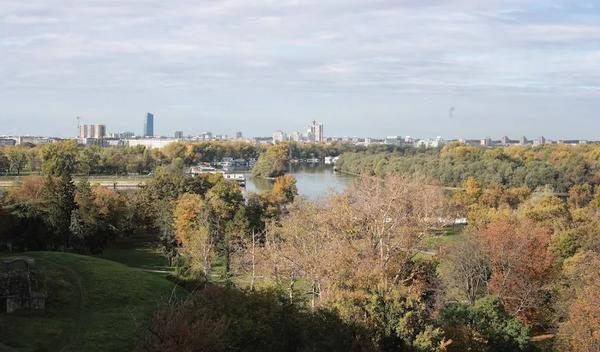 Image for I Sveti Luka i Noć veštica, ko kako voli