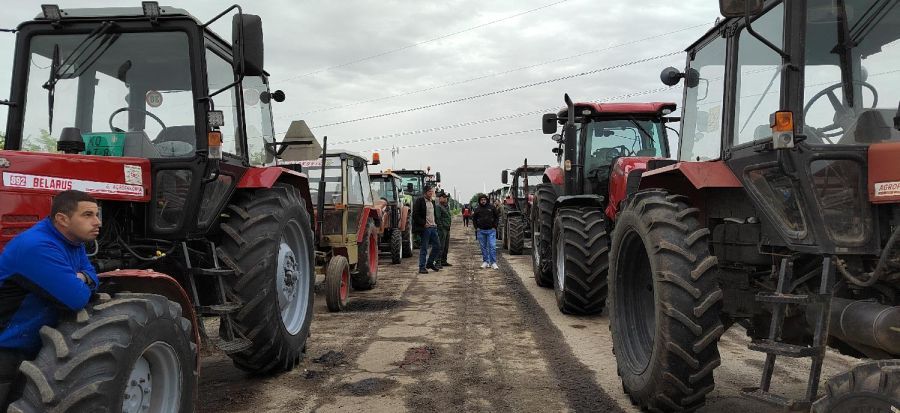 FoNet/Marko Dragoslavić/arhiva/ilustracija