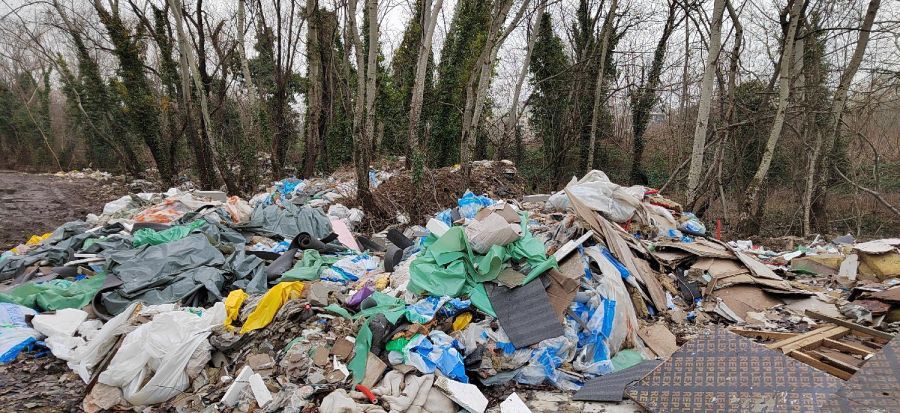 FoNet/Marko Dragoslavić/arhiva