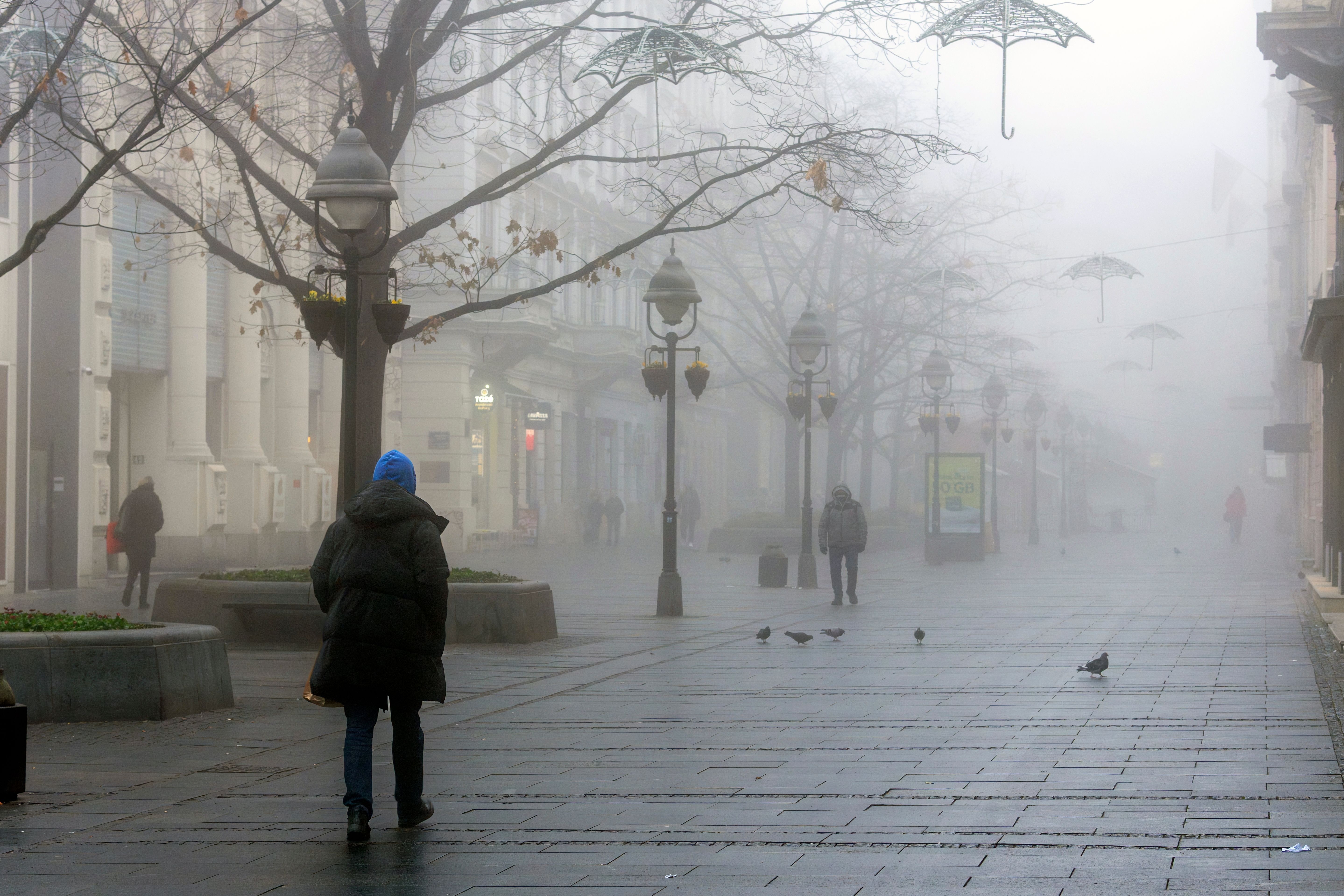 Image for U Srbiji danas ledeni dan: Sunčano, vetrovito i izuzetno hladno