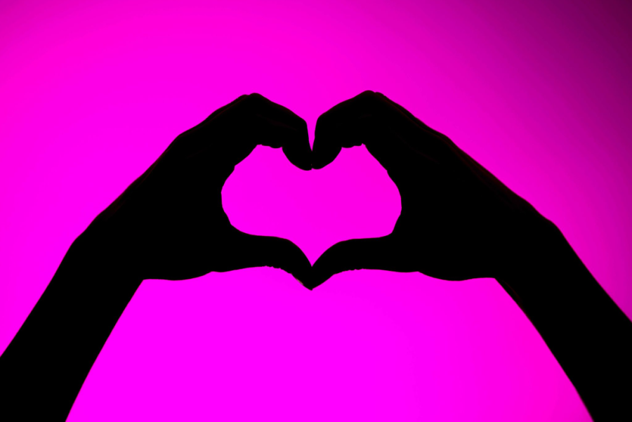 Image for Ljubav i političko opredeljenje