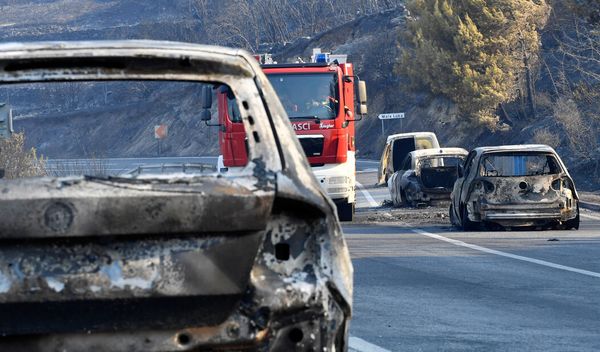 Visoke temperature, dugotrajna suša, osušena vegetacija i vetar stvorili su izuzetno nepovoljne uslove