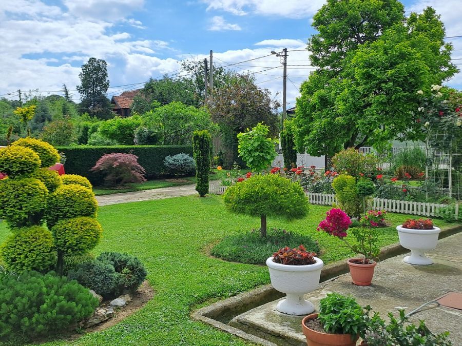 Image for Akcija "Za zeleniji Beograd"