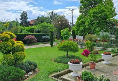 Image for Akcija "Za zeleniji Beograd"