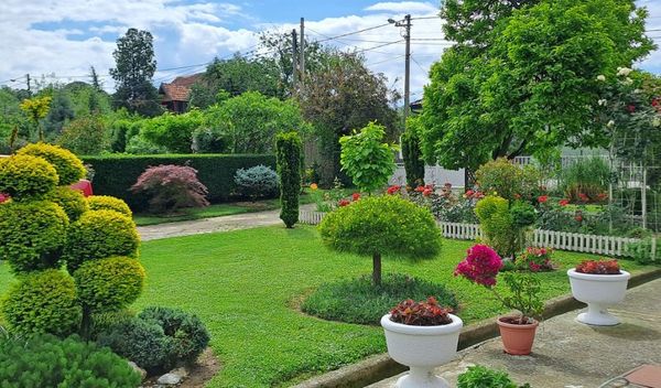 Image for Akcija "Za zeleniji Beograd"