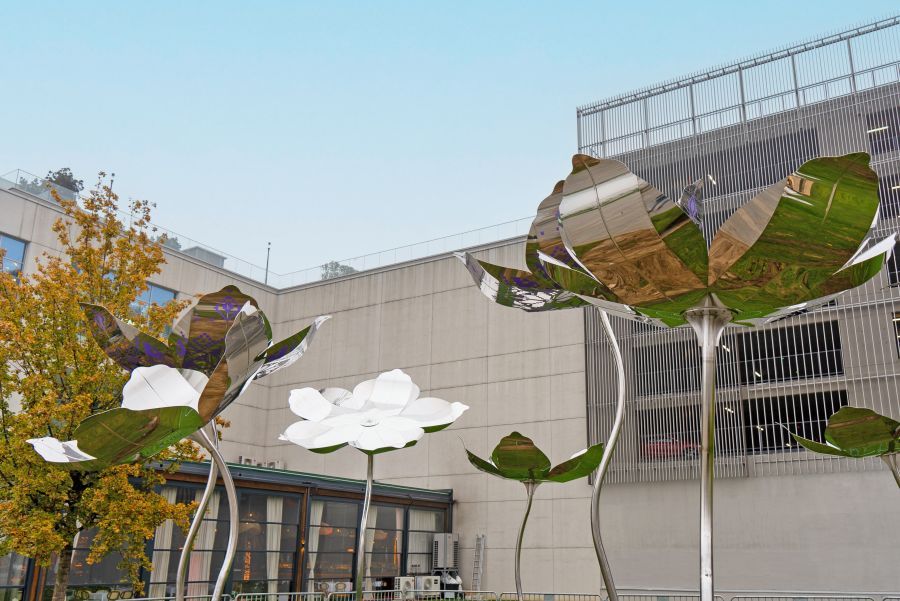 FoNet/Marko Vuković