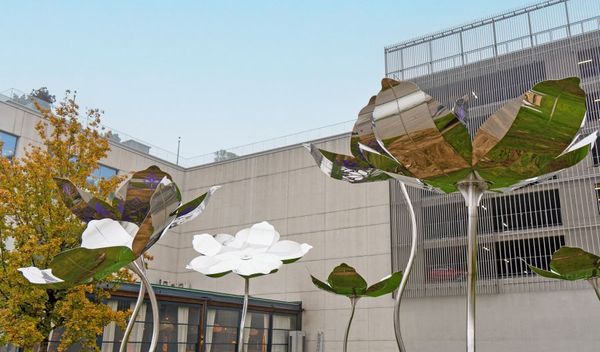 FoNet/Marko Vuković