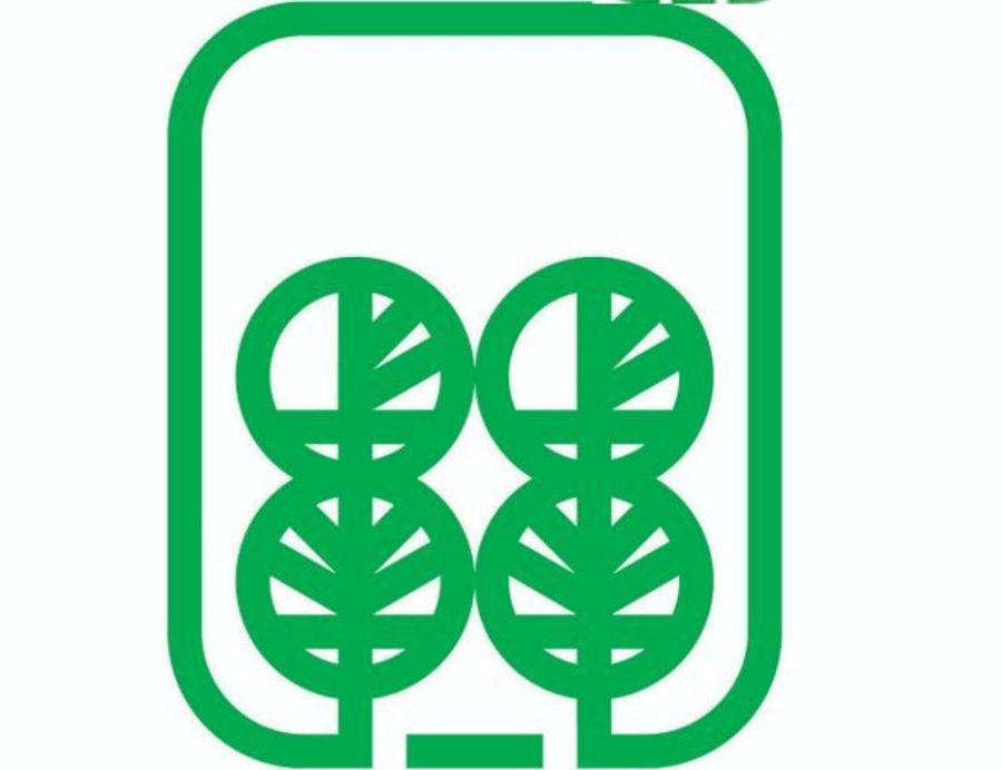 Image for Prijava zbog sečenja topola