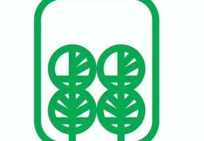 Image for Prijava zbog sečenja topola