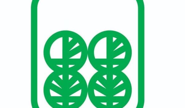 Image for Prijava zbog sečenja topola