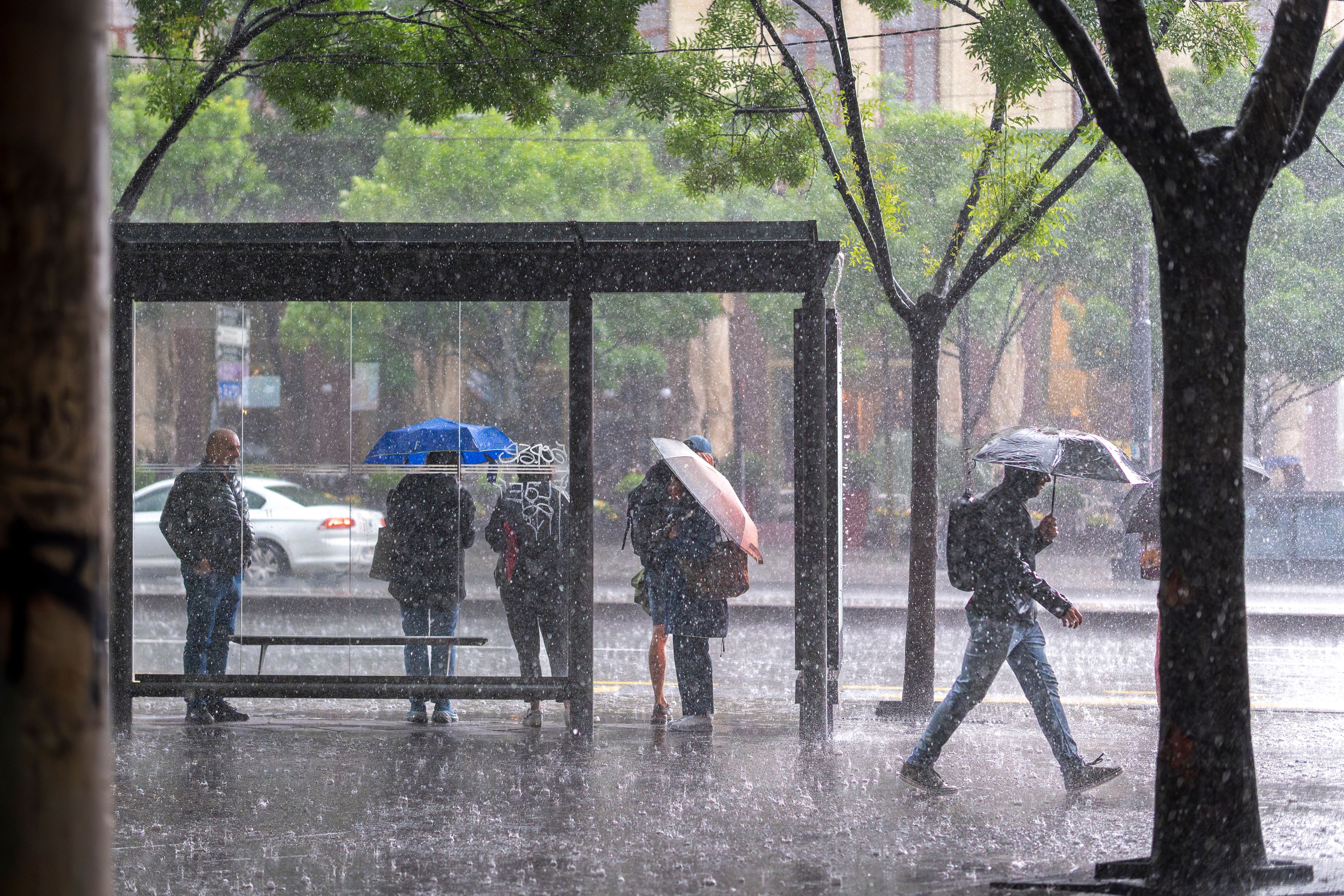 Image for Danas oblačno i hladno sa kišom, na planinama sneg
