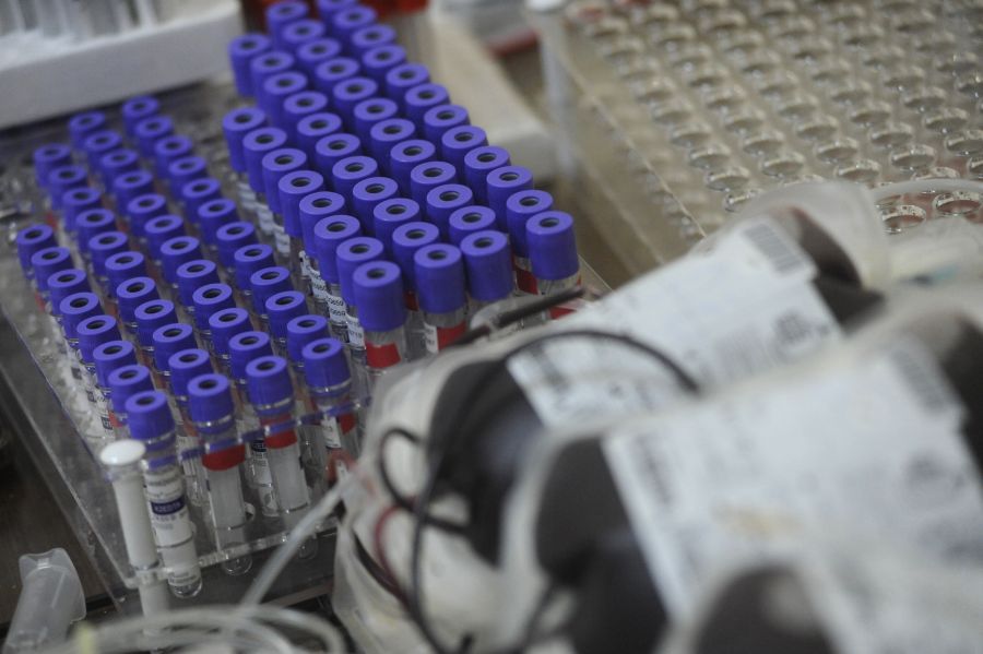 Image for Hitan apel davaocima krvi