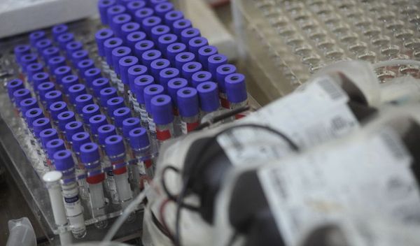 Image for Hitan apel davaocima krvi