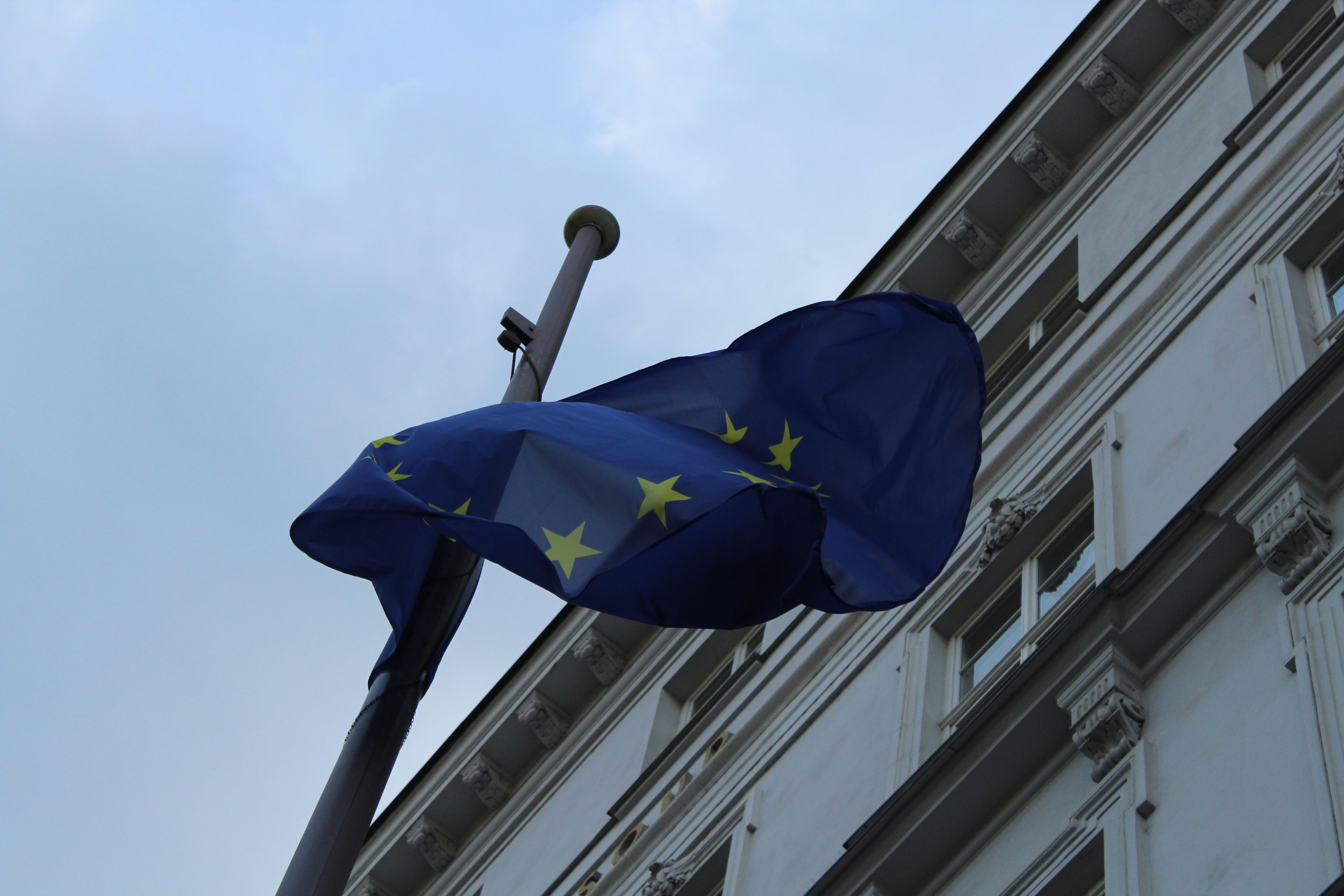 Image for Ana Brnabić: Prioriteti su EU i region