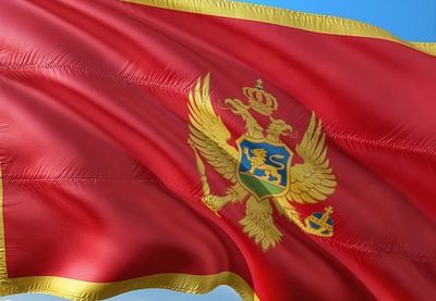 Prva banka Crne Gore čiji je većinski vlasnik Aco Đukanović, brat bivšeg crnogorskog predsednika Mila Đukanovića, tužila je državu i zatražila šest miliona evra odštete