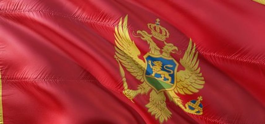 Prva banka Crne Gore čiji je većinski vlasnik Aco Đukanović, brat bivšeg crnogorskog predsednika Mila Đukanovića, tužila je državu i zatražila šest miliona evra odštete