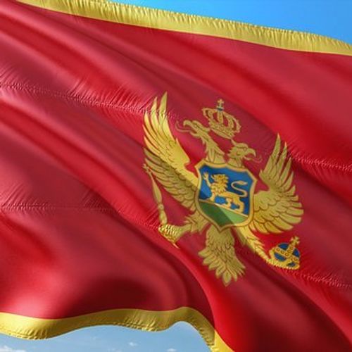 Prva banka Crne Gore čiji je većinski vlasnik Aco Đukanović, brat bivšeg crnogorskog predsednika Mila Đukanovića, tužila je državu i zatražila šest miliona evra odštete