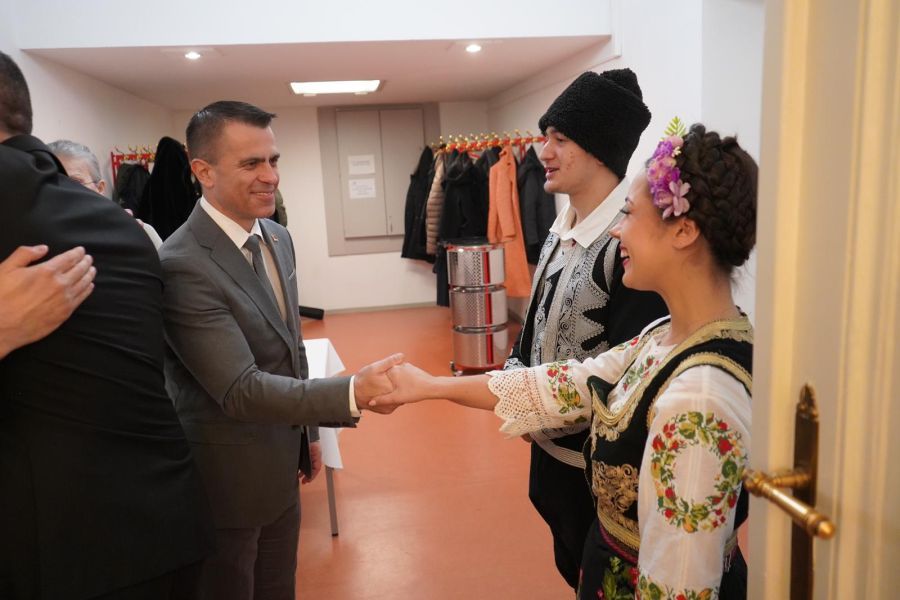 Image for Akademija u čast Karadžića