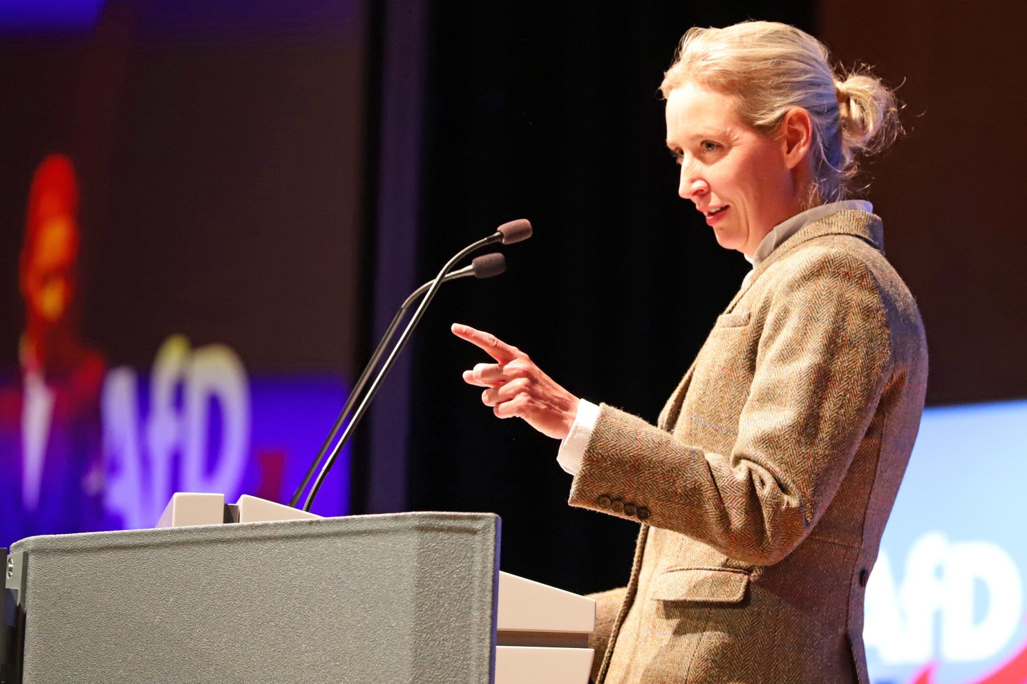 "Nemačkoj je pre uvođenja evra bilo znatno bolje", rekla je Weidel