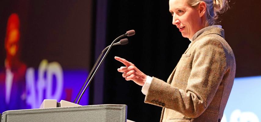 "Nemačkoj je pre uvođenja evra bilo znatno bolje", rekla je Weidel