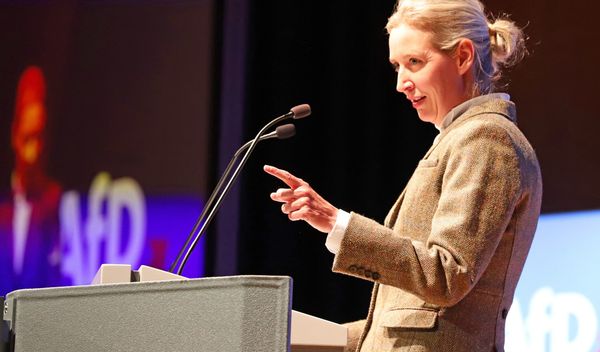 "Nemačkoj je pre uvođenja evra bilo znatno bolje", rekla je Weidel